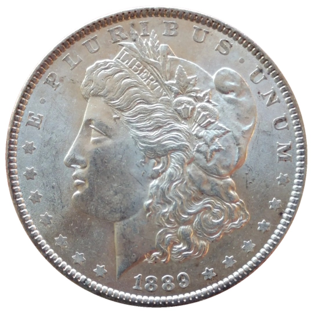 1889-$1-Morgan-Dollar-#8